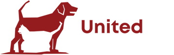 Tails United Company